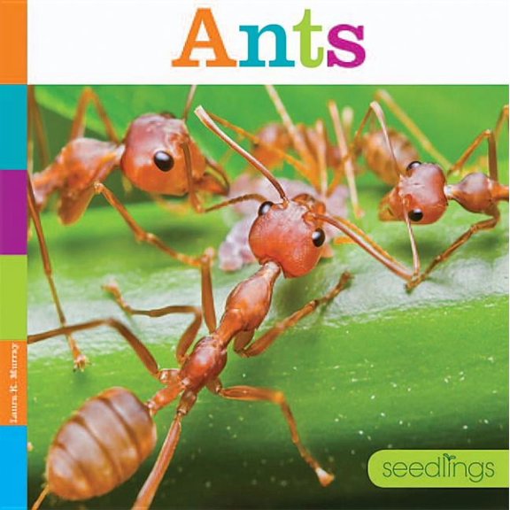 Seedlings Ants, (Paperback)