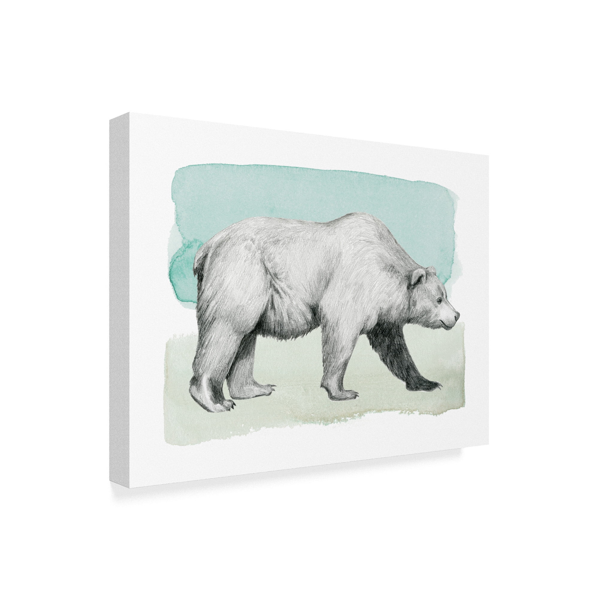 Trademark Fine Art 'Animal II' Canvas Art by Grace Popp