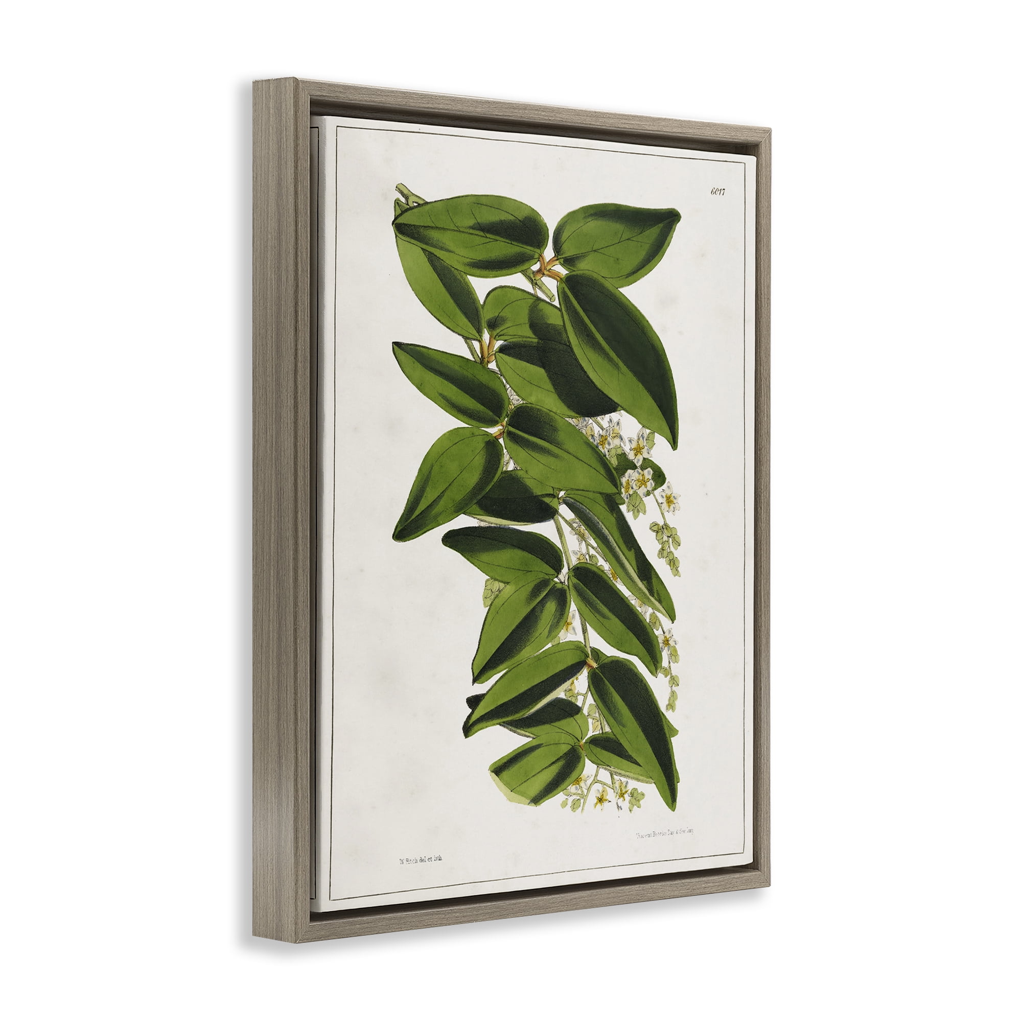 Stupell Industries Stacked Leaves Botanical Plants & Flowers Painting Brown Floater Framed Canvas Art Print Wall Art, 25 x 31