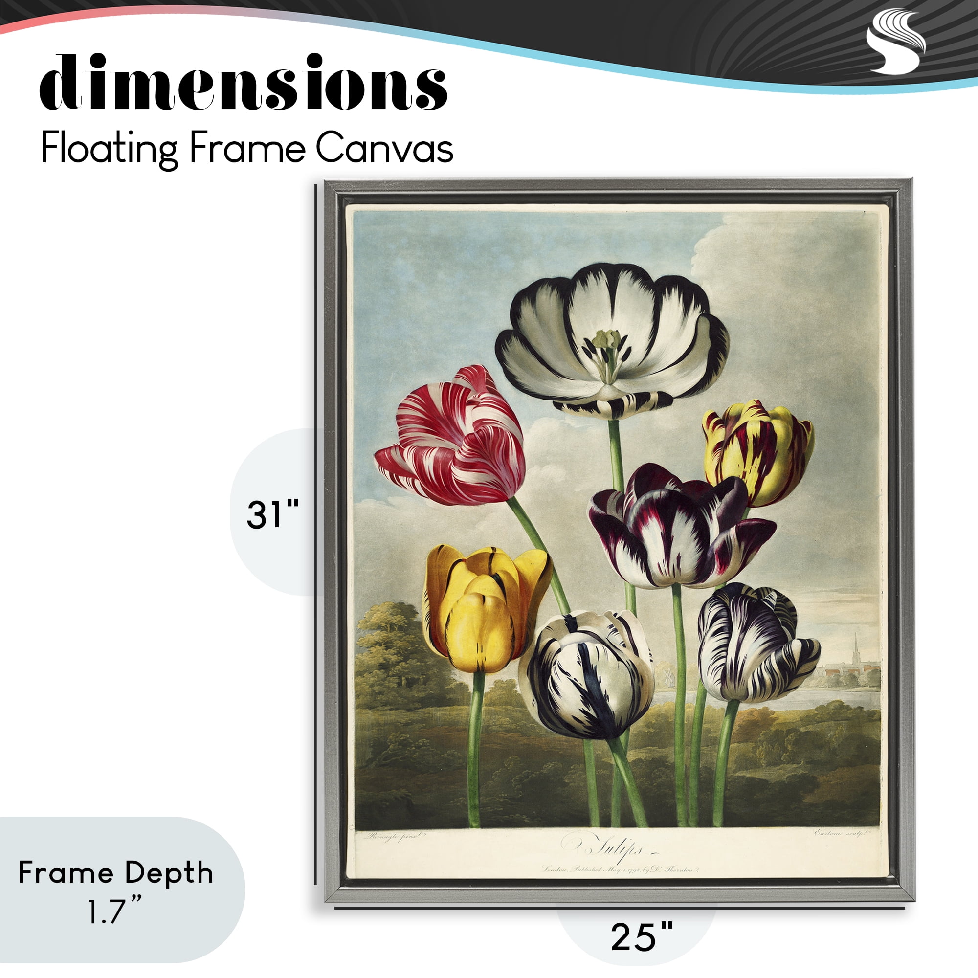 Stupell Industries Tulips From The Temple Gray Framed Floater Canvas Wall Art, design by Print Collection