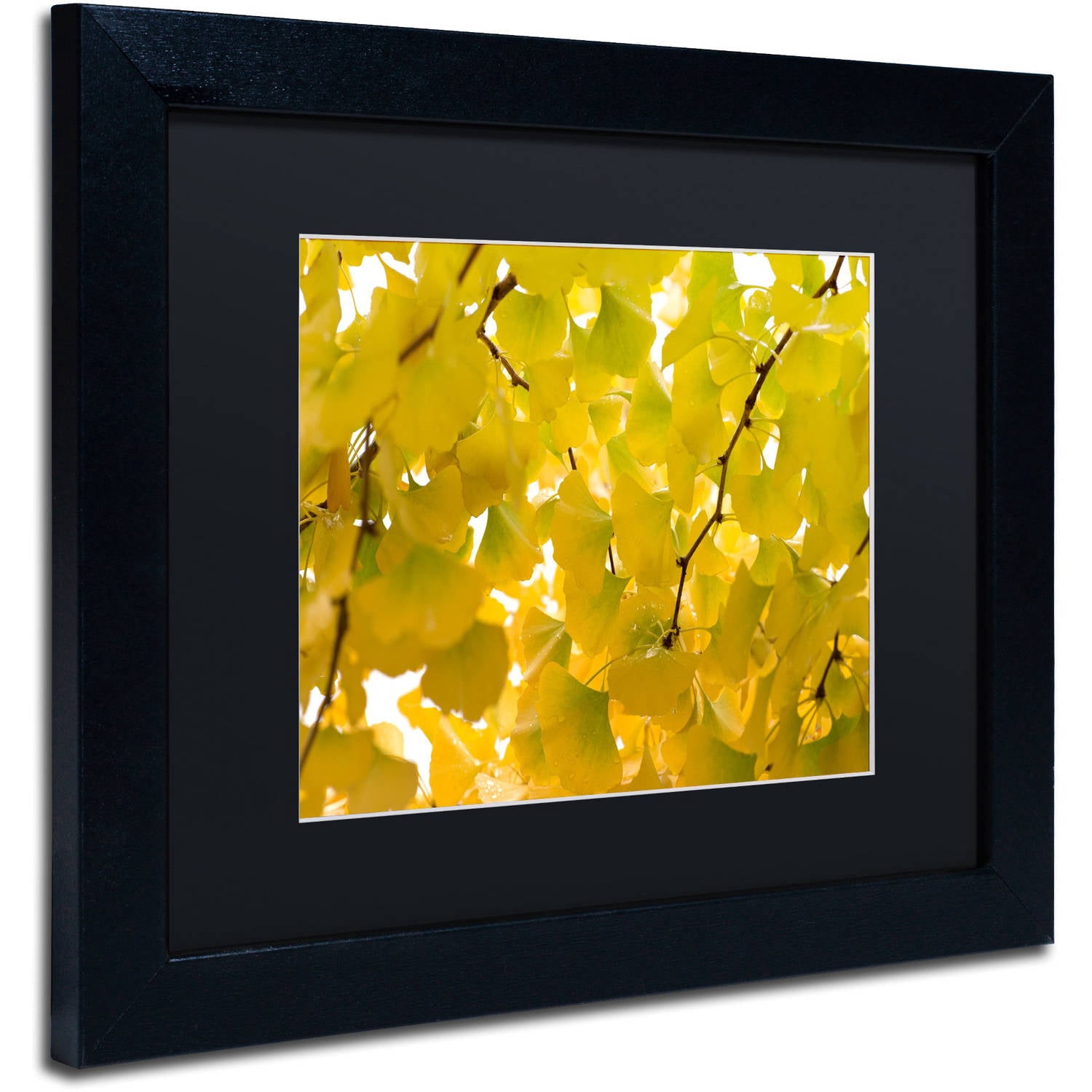 Trademark Fine Art "Yellow Autumn" Canvas Art by Philippe Sainte-Laudy Black Matte, Black Frame