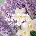 thumbnail image 2 of Scented Candle Yankee Candle Lavender Vanilla 650mL, 2 of 7