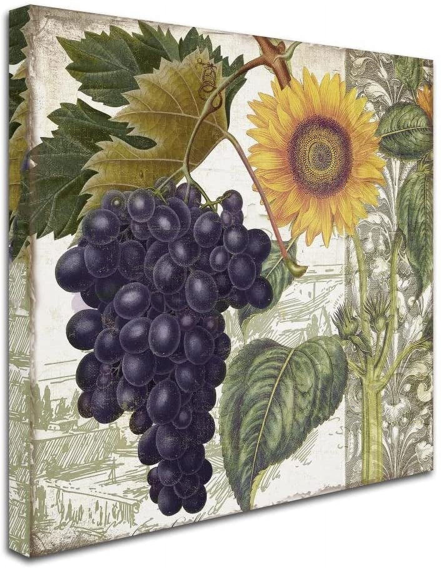 Trademark Fine Art "Dolcetto I" Canvas Art by Color Bakery