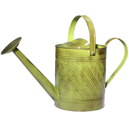 Robert Allen Home and Garden Wexley 2-Gallon Watering Can by ROBERT ALLEN LLC