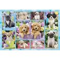 thumbnail image 2 of Schmidt Spiele (56162) - "Puppies" - 200 pieces puzzle, 2 of 2