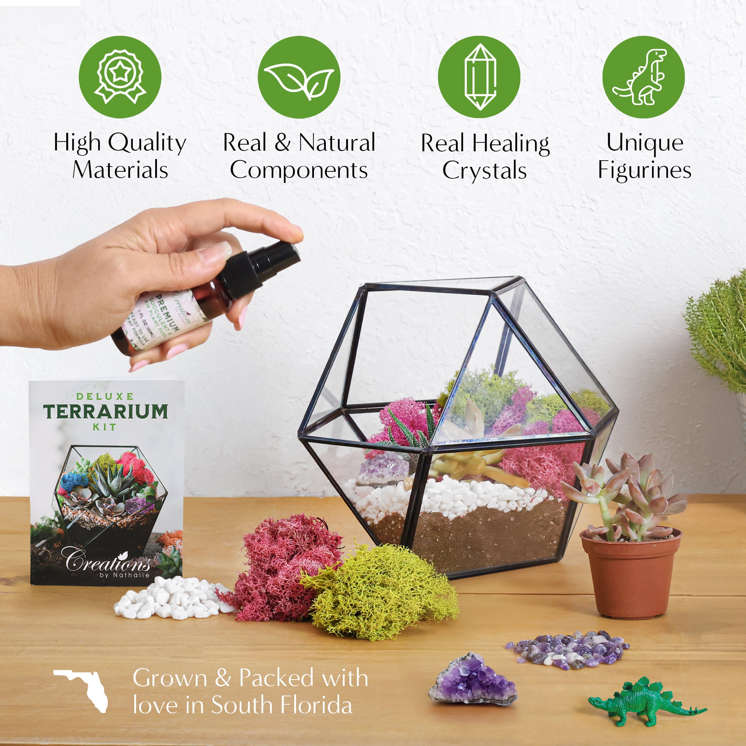 Creations by Nathalie DIY Terrarium Kit - For Succulents, Cacti & More