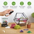 thumbnail image 3 of Creations by Nathalie DIY Terrarium Kit - For Succulents, Cacti & More, 3 of 8