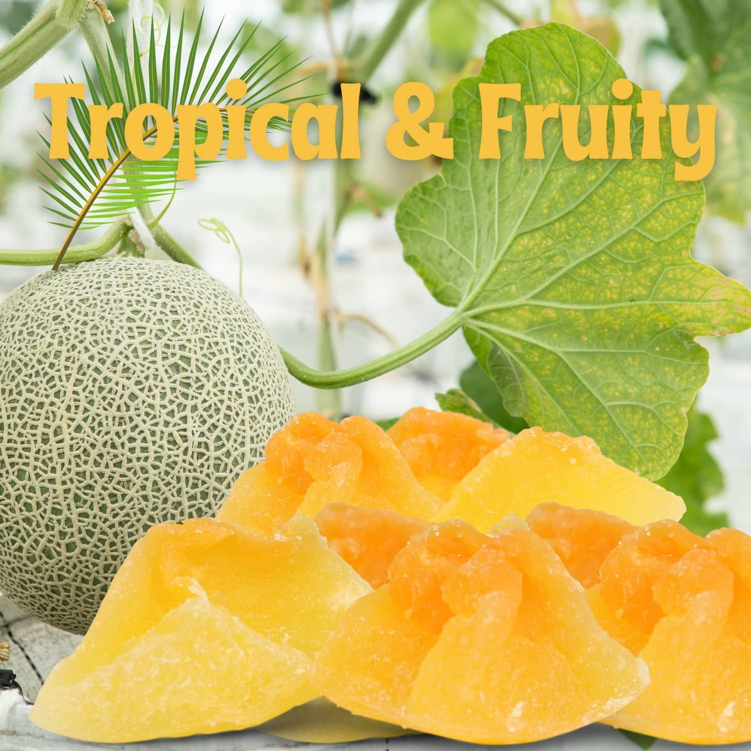Dried Cantaloupe Chunks by Its Delish, 10 lbs Bulk Bag  Best For Snacking, Baking, Cooking, Nutritious and Healthy Snack, High in Fiber  Tropical Melon Candied Dried Fruit Low Sugar  Vegan &...