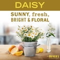 thumbnail image 6 of Mrs. Meyer's Clean Day Daisy Small Tin Soy Candle - Soy Wax, Scented - 2.9 Oz, 6 of 6