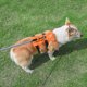 thumbnail image 3 of Arnés de elevación para perros, eslinga de apoyo y recuperación, chaleco de rehabilitación para mascotas, correas transpirables ajustables para ancianos, discapacitados, lesiones en las articulaciones, artritis, parálisis, pasear perros (talla L) Rojo Verde, 3 of 5