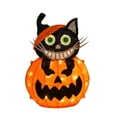 thumbnail image 2 of 23" Pre-Lit Pumpkin and Black Cat, 2 of 4