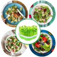 thumbnail image 1 of Bandejas de germinación de semillas, juego de bandejas de plántulas de 4 piezas, bandeja de invernadero de germinación de brotes de semillas hidropónicas, brotes caseros para plantar brotes de frijol y brotes de frijol mungo XianweiShao 8390605129476, 1 of 1