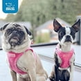 thumbnail image 6 of Voyager Step-in Plush Dog Harness by Best Pet Supplies - Fuchsia Corduroy, Large, 6 of 8