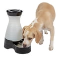 thumbnail image 1 of Estación de Agua PetSafe Healthy Pet Mediana 3,8 Litros, 1 of 5