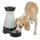 thumbnail image 1 of Estación de Agua PetSafe Healthy Pet Mediana 3,8 Litros, 1 of 5