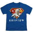 thumbnail image 2 of Superman 2025 Krypto Shield Kids T Shirt for Youth Boys and Girls, 2 of 6