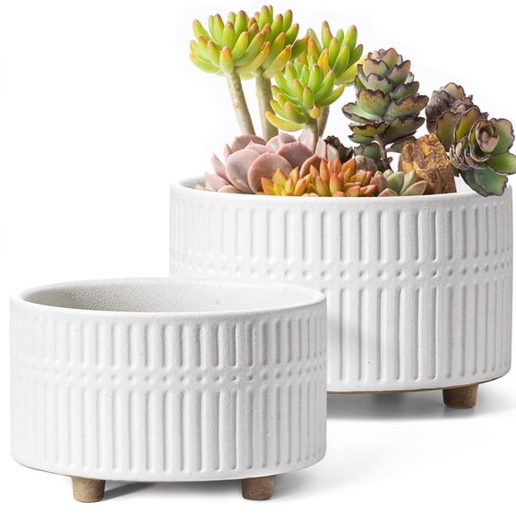 BEMAY 2-Pack 8 6.5 inch White Ceramic Succulent Pots with Drainage Holes for Indoor, Patio, and Garden Decor Plant Pots