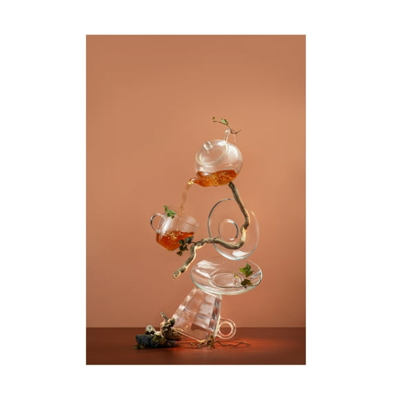 Trademark Fine Art Dina Belenko Acorns And Glass Canvas Wall Art