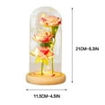 thumbnail image 4 of AYktou Roses Gifts Colorful Artificial Flowers Rose Light Gift in A Glass Dome,Flowers Gifts for Her on Anniversary Valentine's Day Mothers Day Girlfriend Birthday Gifts, 4 of 8
