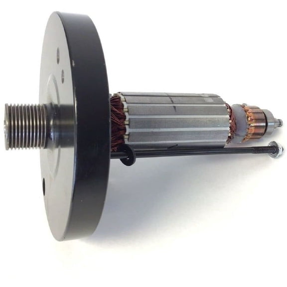 Hydra Fitness Exchange Armature Windings with Flywheel 405691-82ZY1-1 Works W Gold's Gym Treadmill