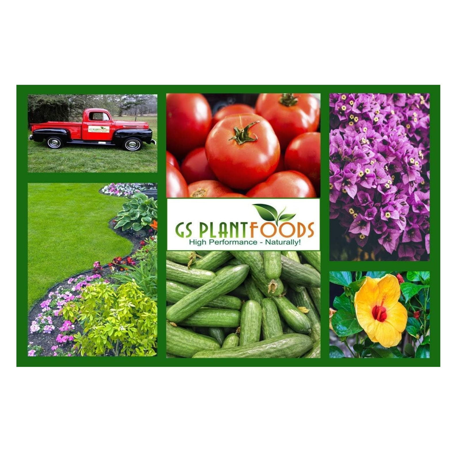 20-20-20 Water Soluble Fertilizer - Balanced NPK Plant Food with Kelp, Indoor/Outdoor Plants, Garden & Turf - 3 lbs