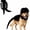 Black, variant on Dinosaur Skeleton Dog Costume, Prehistoric Bone Pet Costume (Black,40 in) | Costume with Dino Head Cover and Back Skeleton Design, Funny Halloween Dress Up Outfit for Dogs, Puppy Party Cosplay Outfit