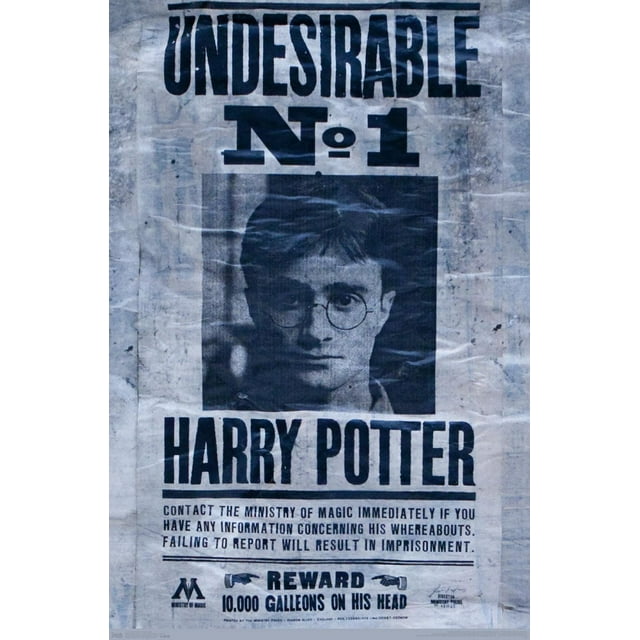 Le Monde des Sorciers : Harry Potter - Indésirable