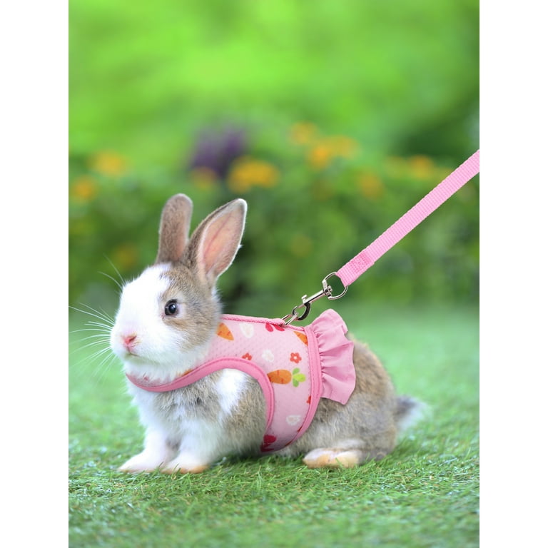 Pets at home rabbit harness hotsell