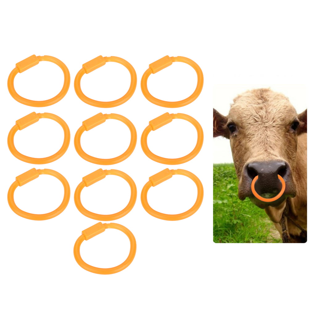 Why Do Bulls Have Nose Rings? - Facts.net