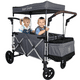 thumbnail image 1 of Carrito de Vagon Plegable para Bebe Cochecito Carriola Doble Portatil para Niños y Mascotas para Exteriores Estructura Metálica Gaon, 1 of 11