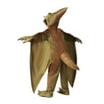 thumbnail image 3 of Child's Pterodactyl Costume, 3 of 3