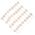 thumbnail image 4 of Succulent Tags, 36pcs Watch Me Grow Succulent Tags Wooden Material   For Plant For Garden, 4 of 8