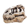 thumbnail image 1 of Dinosaurio Cráneo Decoración Dinosaurio Resin Head Modelo Home Bar Party Decoration Decoración de la Fiesta para Artes de Artes Aprendizaje y Educación Juguetes Guardurnaity HA011452-00B, 1 of 7