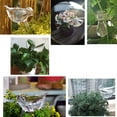 thumbnail image 4 of Cheers US Plant Waterer Self Watering Bird Shape Hand Blown Transparent Mini Durable Clear Glass Bulbs, 4 of 7