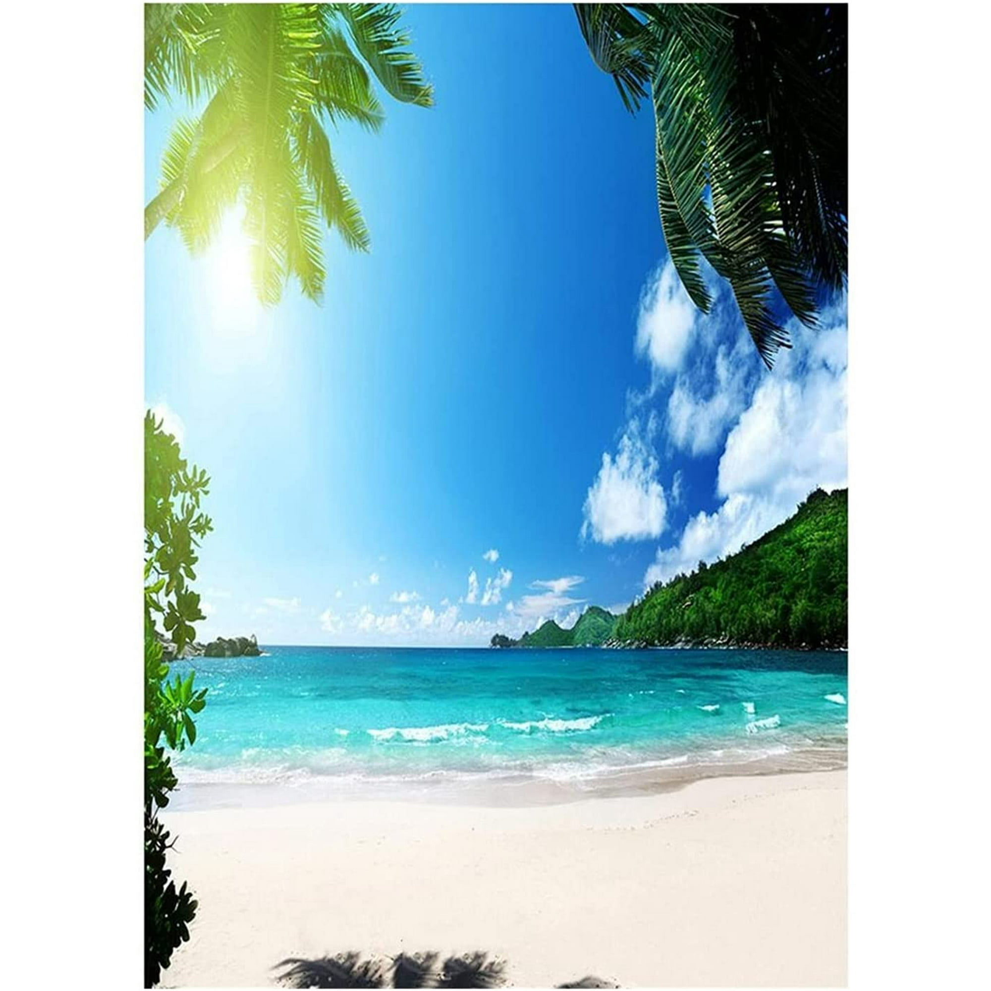 Vinyl Photo Background Tropical Sand Beach Photography Studio Background  Summer Holiday Surf Photo Canvas Backdrop Photo Shoot Props Party Baby Kids  Photo Booth ( Color : D , Size : 240cm x360cm ) | Walmart Canada