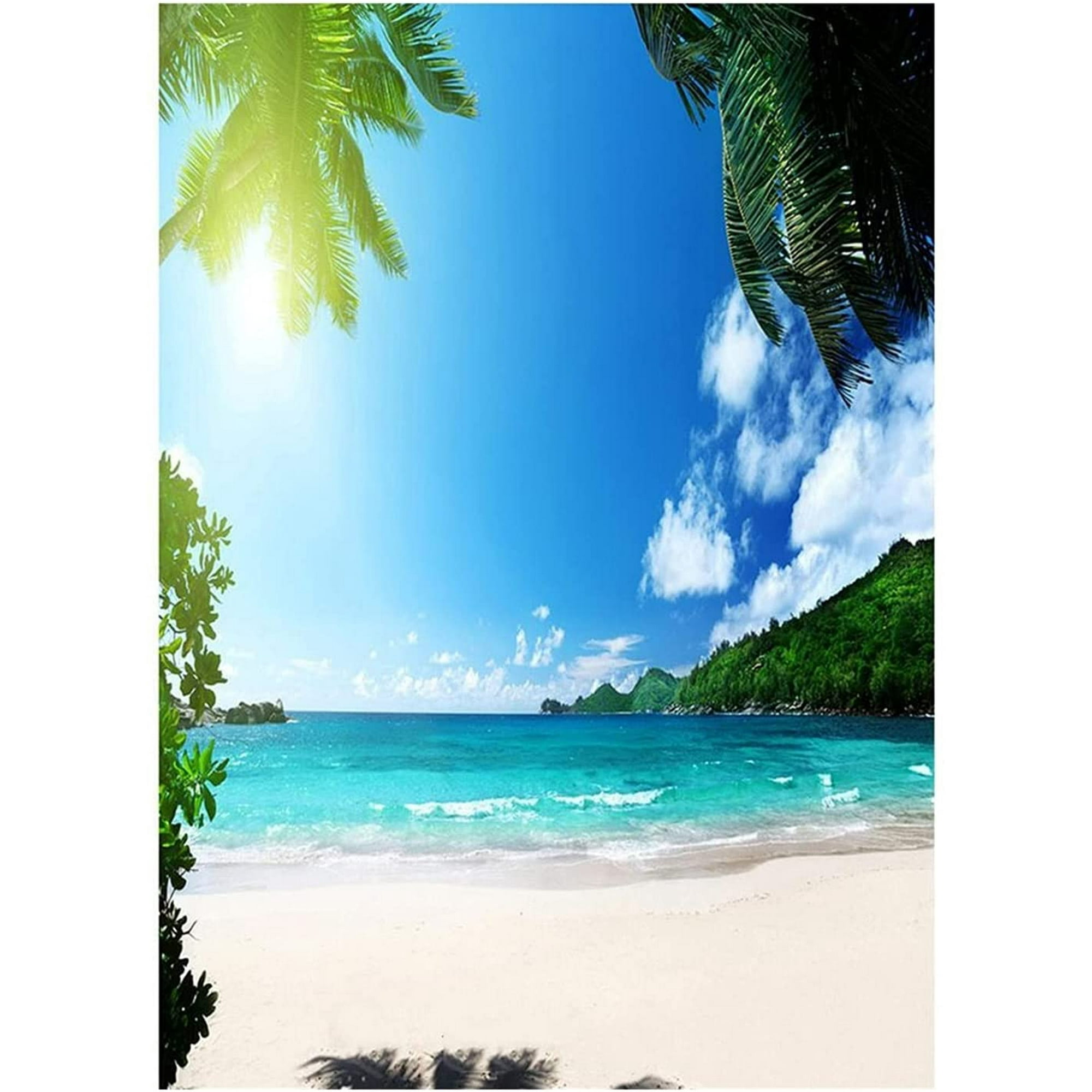 Vinyl Photo Background Tropical Sand Beach Photography Studio Background Summer Holiday Surf Photo Canvas Backdrop Photo Shoot Props Party Baby Kids Photo Booth ( Color : D , Size : 240cm x360cm ) | Walmart Canada Vinyl Photo Background Tropical Sand Beach Photography Studio Background Summer Holiday Surf Photo Canvas Backdrop Photo Shoot Props Party Baby Kids Photo Booth ( Color : D , Size : 240cm x360cm ) | Walmart Canada