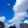 thumbnail image 4 of Hoofer Kite Flying Hoofer Delta grande de 152 x 76 cm, línea única, 4 of 8