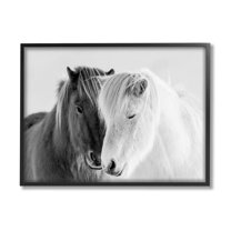 Stupell Industries Wild Horse Animal Pair Black White Southwestern Photograph, 14 x 11, Design by Danita Delimont