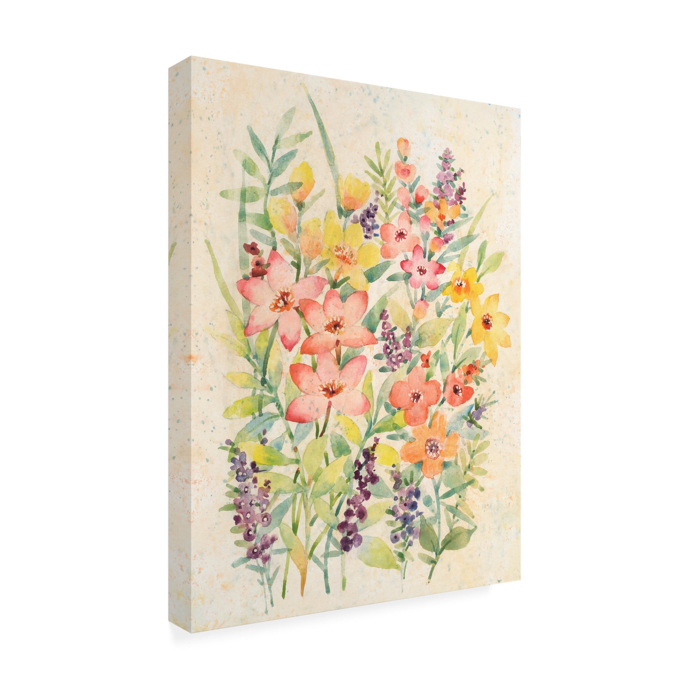 Tim O Toole 'Freshly Cut II' Canvas Art