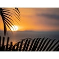 thumbnail image 2 of Merrill Images 24x19 Black Ornate Wood Framed with Double Matting Museum Art Print Titled - Fiji-Vanua Levu Palm fronds silhouetted in sunset over the ocean, 2 of 4
