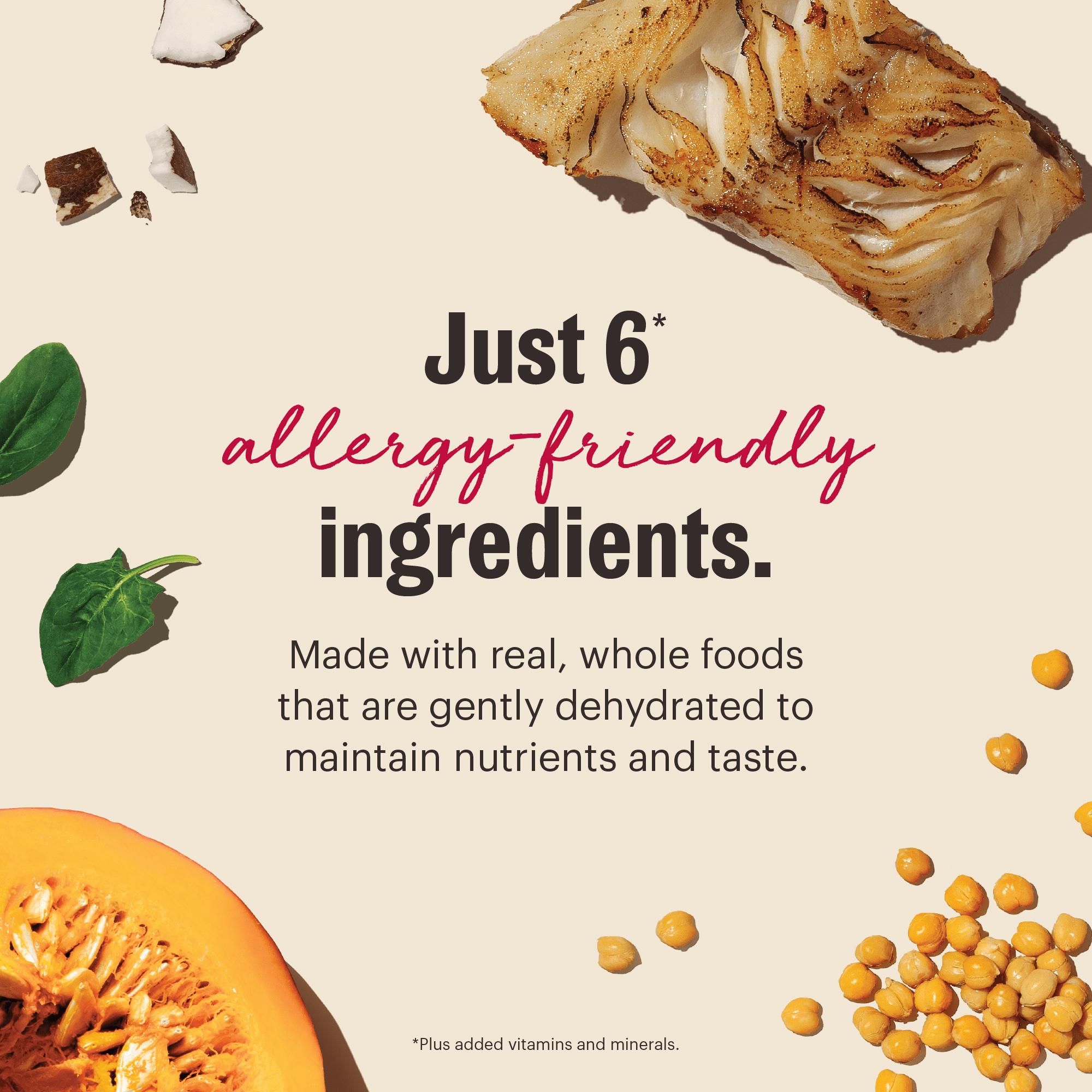 The Honest Kitchen Brave: Dehydrated Minimalist Limited Ingredient Dog Food, Grain Free Fish & Coconut, 10 lbs (Makes 40 lbs)