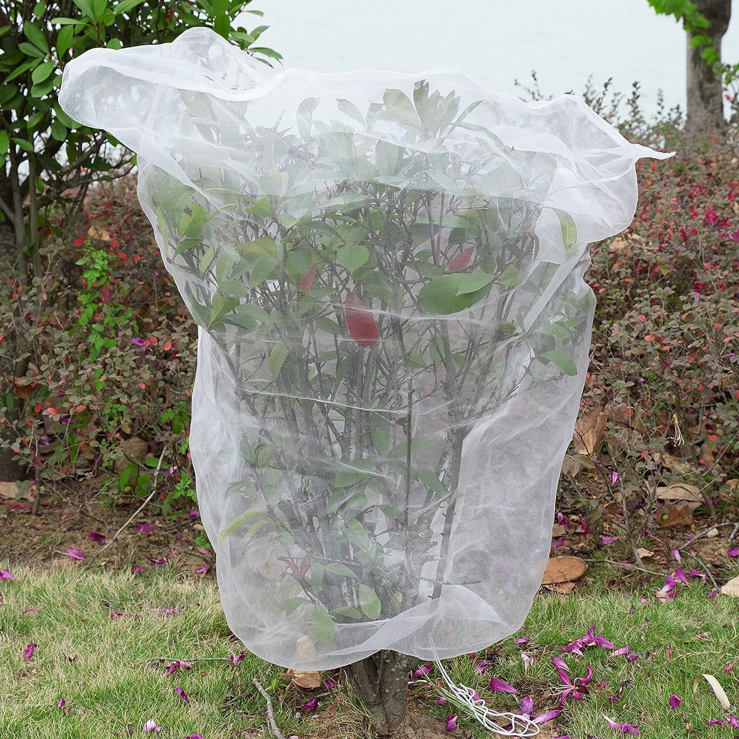 Mesh Plant Cover 3PCS Garden Netting Outdoor Netting for Tomato Plants Garden Bug Cover Bird Garden Fruit Tree (3.2 x 4.9 ft)