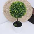 thumbnail image 1 of OHOIOLLA Topiary Grass Bonsai Verde Con Hojas Realistas Para En Casa Y Eventos, 1 of 8