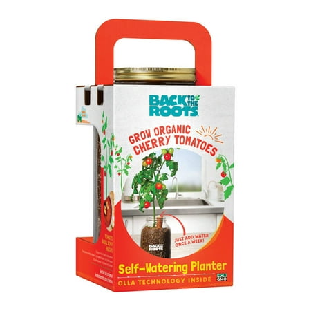 Self-Watering Planter Organic Cherry Tomato Plant