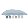 2 Pack Dream in Color Pillow for Sleeping Hypoallergenic & Great for
