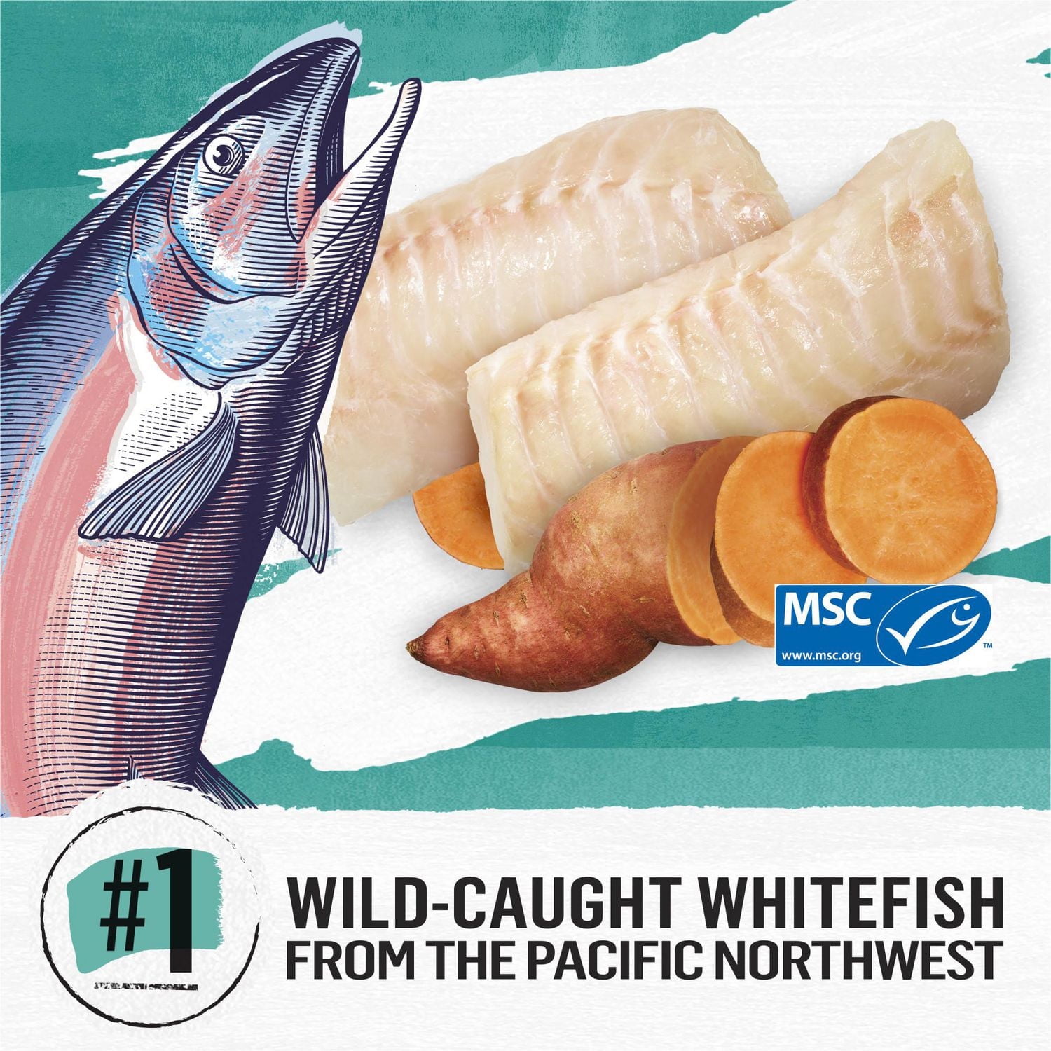 Beyond Grain Free Wild-Caught Whitefish & Free Run Egg Recipe, Dry Cat Food 5 kg