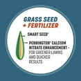 thumbnail image 3 of Pennington Smart Seed Northeast Grass Seed Mix, 20 pound, 2 Pack, 3 of 14