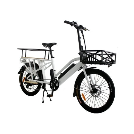 Electric bike for family cruising and cargo delivery. Allows to put 2 kids seats. 750W 48V (Best Bike For Delivery)