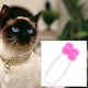 thumbnail image 5 of Herramienta de masaje para gatos, masajeador de piernas para pies de cara fina para gatos, herramientas de aseo para gatos) Ehuebsd Para estrenar, 5 of 9