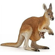 Kangaroo  Joey